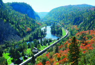 train gong through valley with red and green trees